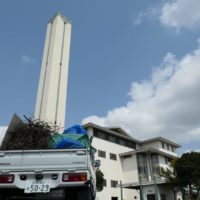 大量の枯葉（4月25日　土曜日）