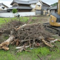 【小雨の中での伐根作業やっぱりココは重機頼みで❣】